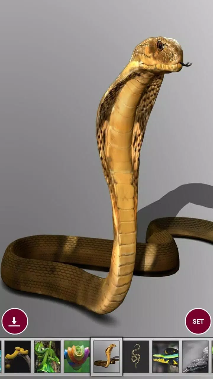 Tổng hợp 57+ về hình rắn đẹp mới nhất - Du học Akina