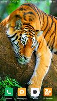 HD Tiger Wallpapers پوسٹر