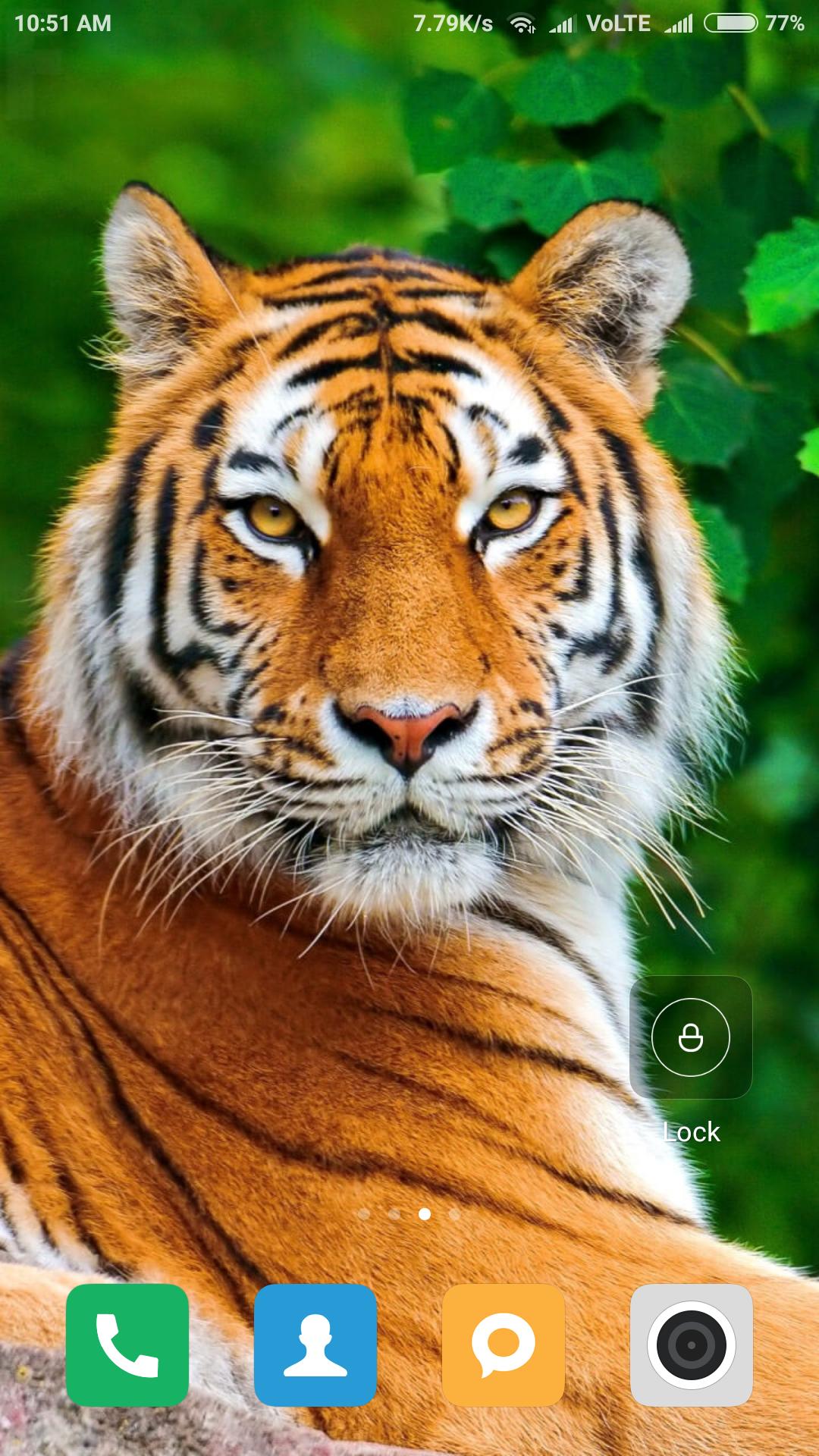 35 Gambar Wallpaper Hd Android Tiger terbaru 2020