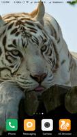 HD Tiger Wallpapers capture d'écran 2
