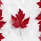 Canada Wallpapers 圖標
