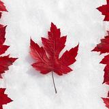 Canada Wallpapers icône