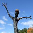 Tree sculpture wallpapers APK