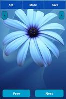 Blue Flowers Wallpapers پوسٹر