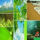 Nature Wallpapers HD-HD 4K Wallpapers 圖標