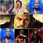 WWE Wallpapers icône
