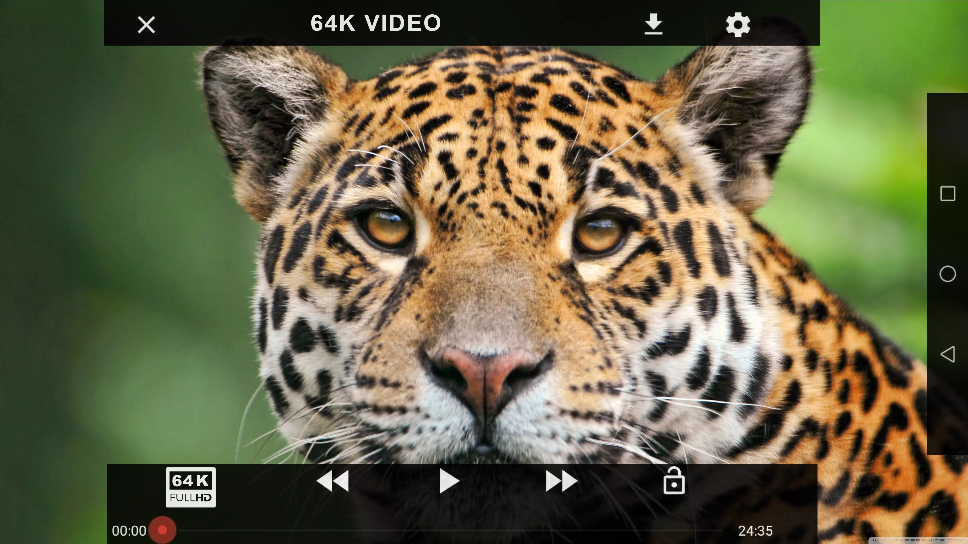 64K Ultra Hd Video Player - 64K UHD Video Player APK للاندرويد تنزيل 64K Ultra Hd Video Player - 64K UHD Video Player APK للاندرويد تنزيل