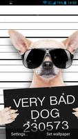Funny Bad Dogs Live Wallpaper স্ক্রিনশট 3