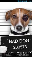 Funny Bad Dogs Live Wallpaper poster