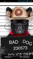Funny Bad Dogs Live Wallpaper screenshot 1
