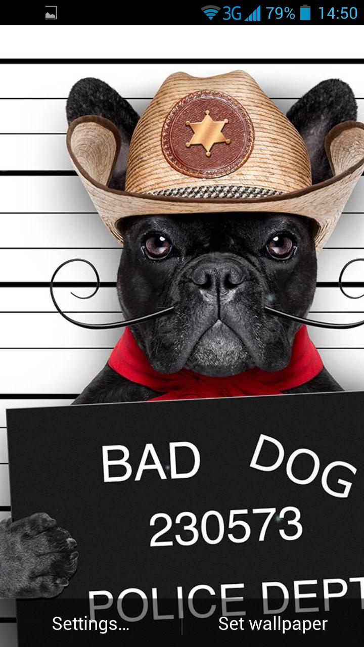 Funny Bad Dogs Live Wallpaper for Android - APK Download