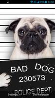 Funny Bad Dogs Live Wallpaper স্ক্রিনশট 2