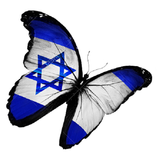 Israel News icône