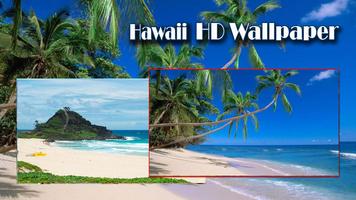 USA Hawai HD Wallpaper ảnh chụp màn hình 1