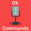 OK Voice Commands