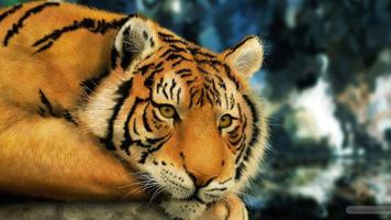 Animals Backgrounds imagem de tela 3