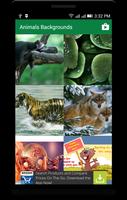 Animals Backgrounds 截圖 1