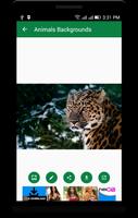 Animals Backgrounds ภาพหน้าจอ 2