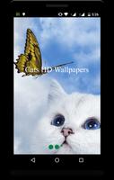 Cats HD Wallpapers Cartaz