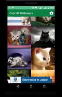 Cats HD Wallpapers اسکرین شاٹ 1