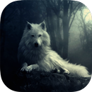 Dogs Wallpapers HD APK