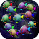 Fish HD Wallpaper APK