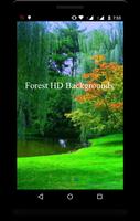 Forest HD Backgrounds پوسٹر