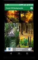 Forest HD Backgrounds imagem de tela 1