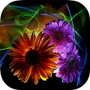 Flowers Backgrounds HD APK