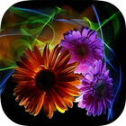 Flowers Backgrounds HD أيقونة