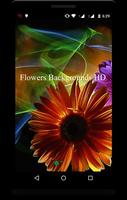 Flowers Backgrounds HD Affiche
