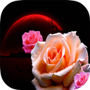 Flowers HD Wallpapers APK