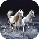 Horse Wallpapers HD APK
