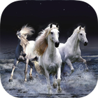 Horse Wallpapers HD آئیکن