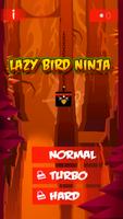 Lazy bird ninja crash fun 2 poster