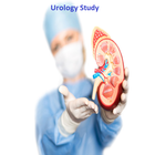 Urology Study 圖標