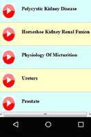 Urology Study 截圖 3