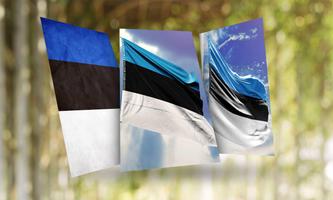 Estonia Flag Cartaz