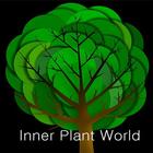 식물 속 탐험(Inner Plant World 3D) आइकन