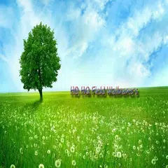 HD HQ Field Wallpapers APK download