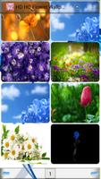 HD HQ Flower Wallpapers Affiche