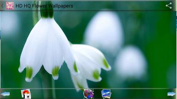 HD HQ Flower Wallpapers اسکرین شاٹ 1