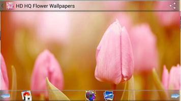 HD HQ Flower Wallpapers capture d'écran 3