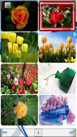 HD HQ Fresh Flower Wallpapers Affiche