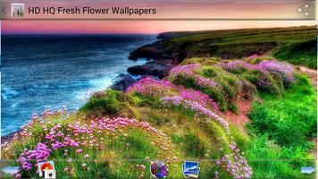 HD HQ Fresh Flower Wallpapers screenshot 2