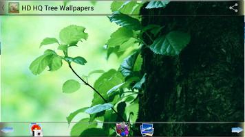HD HQ Tree Wallpapers screenshot 2