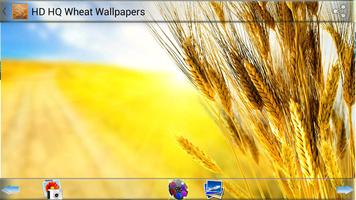 HD HQ Wheat Wallpapers capture d'écran 2