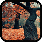 Galaxy S5 Autumn LiveWallpaper Zeichen