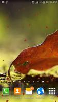 Autumn Live Wallpaper 截圖 3