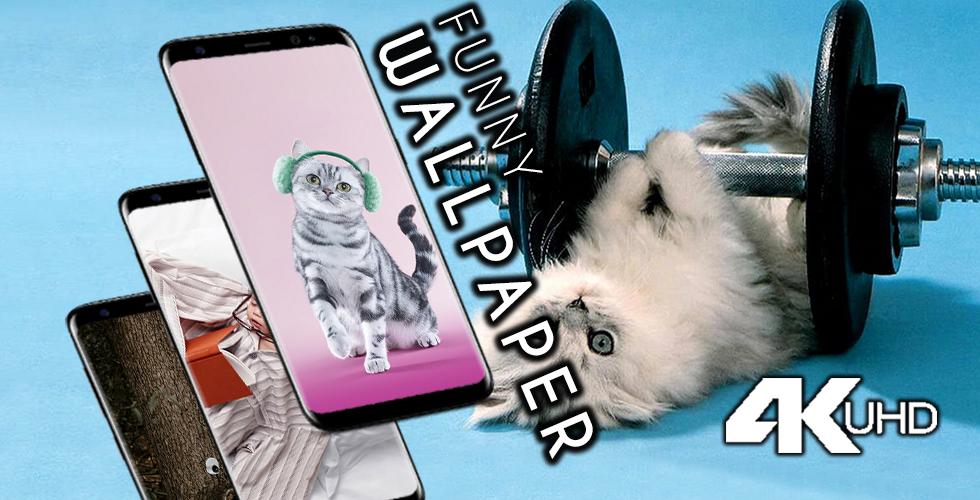 Funny Wallpapers - Weird Funny phone backgrounds APK for Android Download Funny Wallpapers - Weird Funny phone backgrounds APK for Android Download